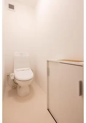 a bathroom with a white toilet in a room at Lido Alba in Tokyo