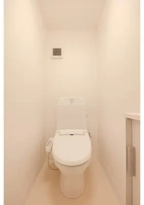 a bathroom with a white toilet in a room at Lido Blu in Tokyo
