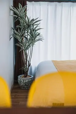a bedroom with a bed and a potted plant at House YOYOGI Park, Shibuya Area, 4 Minutes to Yoyogi Park, 4-Bedroom, Sleeps 8 in Tokyo