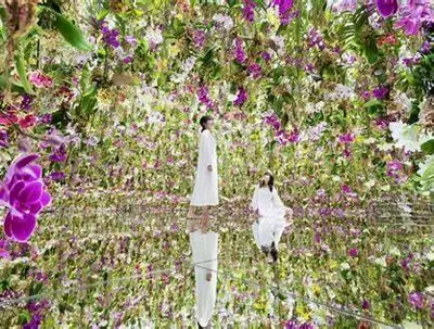 a man and woman walking through a field of flowers at new!\u9580\u524d\u4ef2\u753a \u8d8a\u4e2d\u5cf6\u304b\u3089\u5f92\u6b695\u5206! \u9280\u5ea7 \u6d45\u8349 \u30b9\u30ab\u30a4\u30c4\u30ea\u30fc \u7bc9\u5730 \u8c4a\u6d32 \u821e\u6d5c\u3078\u30a2\u30af\u30bb\u30b9\u826f\u597d in Tokyo