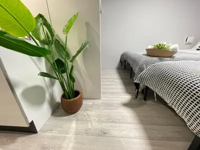 a dining room with a table and a potted plant at COMMA HOUSE Otsuka 3-3 in Tokyo