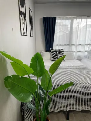 a bedroom with a large green plant next to a bed at COMMA HOUSE Otsuka 4-1 in Tokyo