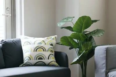a blue couch with a pillow and a plant at Hotel TORAKEN in Tokyo