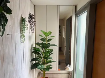 a bathroom with a mirror and a plant at Honancho Entire house for rent \u6771\u4eac in Tokyo