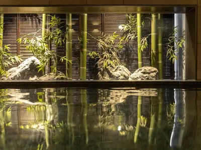 a window with plants in a room with water at Super Hotel Premier Akasaka in Tokyo