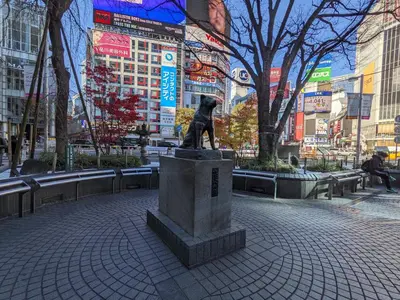 a statue of a dog on a pedestal in a city at Hotel SUNROAD Adult Only in Tokyo