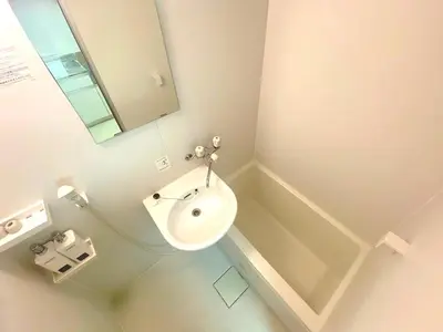 a bathroom with a sink and a toilet and a mirror at Liberty Shinjuku House in Tokyo