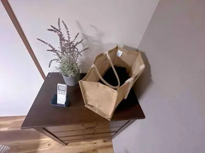 a brown paper bag sitting on a table with plants at \u4e00\u68df\u8cb8\u3057\u5e83\u3005115\u5e73\u7c73 \u8cb4\u9802\u5e9c\u90b8 \u5927\u8c37\u7530 KICYO HOUSE No1 in Tokyo
