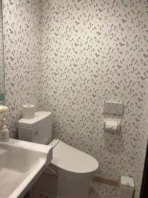 a bathroom with a white toilet and a sink at \u30db\u30c6\u30eb\u30b7\u30a7\u30cc\u30fcAdult Only in Tokyo