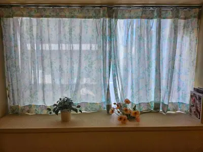 a window with a potted plant on a window sill at Open #\uc2e0\uc8fc\ucfe05\ubd84#\uc2dc\ubd80\uc57c10\ubd84#\uc624\ucfe0\ubcf4\uc5ed3\ubd84#\ub2e4\ub2e4\ubbf8\uc544\ud30c\ud2b8#\uce68\uc2e43\uac1c#\ube54\ud504\ub85c\uc81d\ud130#84m2#\ubca0\uc2a4\ud2b8\uc2ac\ub9bd\ub9e4\ud2b8\ub9ac\uc2a4 in Tokyo