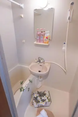 a bathroom with a sink and a mirror and a sink at Lucky House\u65b0\u5bbf21 in Tokyo