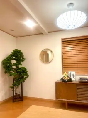 a room with a plant on the wall and a mirror at \u6e0b\u8c37\u99c5\u5f92\u6b6910\u5206!!\u4e00\u68df\u307e\u308b\u3054\u3068\u8cb8\u3057\u5207\u308a!\u304a\u5b50\u69d8\u6b53\u8fce\u99d0\u8eca\u5834\u7121\u659910\u4ebaok5\u90e8\u5c4b\u30d0\u30b9\u30eb\u30fc\u30e02\u3064 in Tokyo