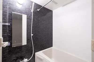 a bathroom with a shower with a sink and a mirror at Apartment\u5c0f\u77f3\u5ddd\u5f8c\u697d\u5712 in Tokyo