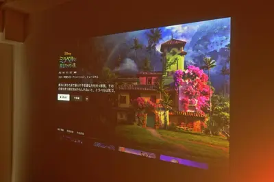 a tv screen with a picture of a house with flowers at V Close to Shinjuku Kabukicho Korean Town FrWIFI I in Tokyo