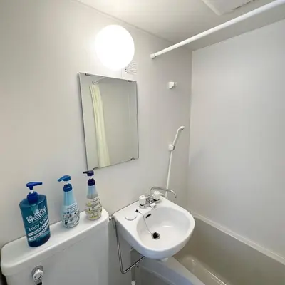 a bathroom with a sink and a toilet and a mirror at PLAZA SINJUKU Cozy Mansion in Tokyo