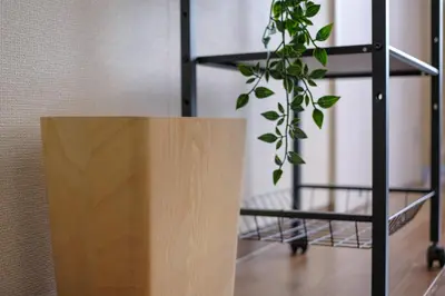 a plant sitting on a table next to a shelf at Tokyo Stay Akasaka in Tokyo