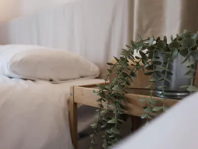 a potted plant sitting on a table next to a bed at Tokyo Stay Akasaka in Tokyo