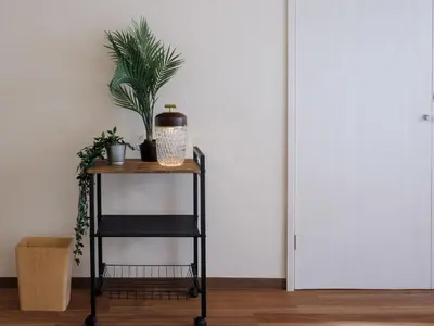 a plant on a table next to a door at Tokyo Stay Akasaka in Tokyo