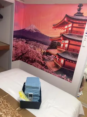 a room with a wall with a picture of a mountain at B&K Numabukuro in Tokyo