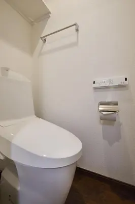 a bathroom with a white toilet in a room at LIFE TOWN Yotsugi in Tokyo