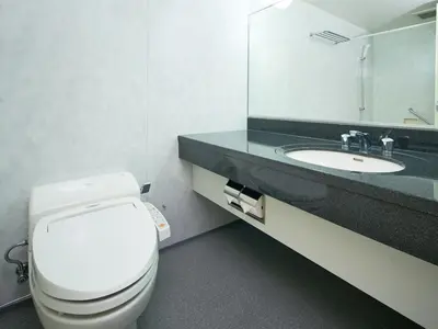 a bathroom with a white toilet and a sink at The OneFive Tokyo Kameido in Tokyo