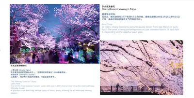 a page of a book with a picture of a tree at ZJ202 Hanama202 The Skytree Residence A Newly Home by Tokyo Iconic Landmarks in Tokyo