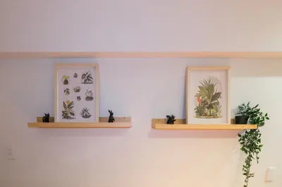 two shelves on a wall with plants on them at Mi-APT TAKINO in Tokyo