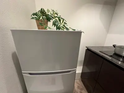 a white refrigerator in a kitchen with a plant at COMMA HOUSE Shinjuku 12 in Tokyo