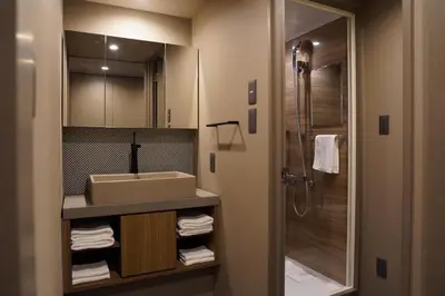 a bathroom with a sink and a shower at Musashi Condo Takadanobaba in Tokyo