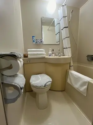 a bathroom with a toilet and a sink and a mirror at ToyamaHouse2-202 in Tokyo