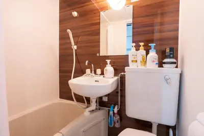 a bathroom with a sink and a toilet and a mirror at Tokyo Yamate line Takadanobaba station one room partment in Tokyo