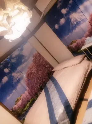 a bedroom with a painting on the ceiling at BandK Kouenji in Tokyo