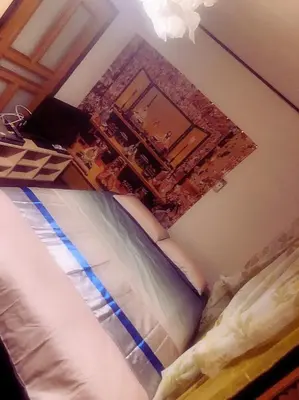 a bedroom with a bed and a wall with a fire at BandK Kouenji in Tokyo