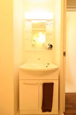 a bathroom with a sink and a mirror at Nishigokencho NA3 in Tokyo
