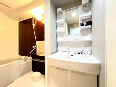 a bathroom with a sink and a mirror at Tobu High Line Daimon 201 TH1 in Tokyo
