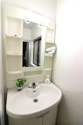 a bathroom with a white sink and a mirror at Senkawa CV House SC1 in Tokyo