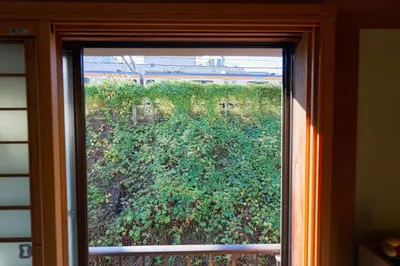a window with a view of a field of bushes at yoyogi house jellyne in Tokyo