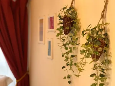 a room with a plant hanging from a wall at Okubo Daiichi House2C OD2C in Tokyo