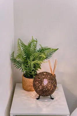 two plants in a basket sitting on a table at Natsumi 2 \u30db\u30c6\u30eb in Tokyo