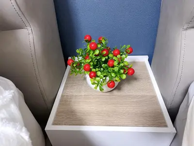 a plant in a white bowl on a table at JR\u6da9\u8c37\u7ad9\u6b65\u884c8\u5206\u6700\u8fd1\u8f66\u7ad9\u6b65\u884c4\u5206\u514d\u8d39WiFi\u76f4\u8fbe\u4e1c\u4eac\u539f\u5bbf\u4e0a\u91ce in Tokyo