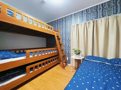 a bedroom with two bunk beds and a potted plant at Easily to Ikebukuro Asakusa Shibuya for 5 in Tokyo