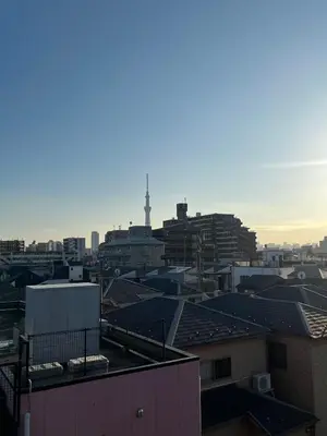 a view of a city with buildings and roofs at \u9759\u8c27\u65f6\u5149 in Tokyo