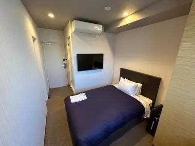 a small room with a bed and a tv at HOTEL LiVEMAX Mita Ekimae in Tokyo