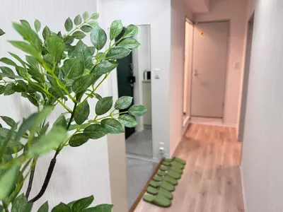 a hallway with a potted plant in a room at \u5143\u685c2\u53f7\u4e0a\u91ce\u6d45\u8349\u9ad8\u7d1a\u6c11\u6cca\u6700\u59278\u4eba\u99c56\u5206\u9ad8\u7d1a\u30d6\u30e9\u30f3\u30c9\u30d9\u30c3\u30c9\u5bb6\u5ead\u6620\u753b\u9928\u7121\u6599\u81ea\u8ee2\u8eca in Tokyo