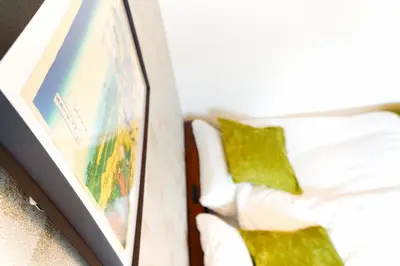 a close up of a box with green pillows at Monthly Stay Furnished Apartment \u6c60\u888b\u99c5\u5f92\u6b69 5\u5206 Mejiro Yasu Hotel in Tokyo