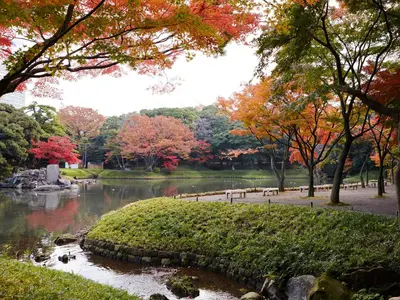 a park with a pond and trees with fall foliage at APA Hotel Asakusabashi Ekikita in Tokyo
