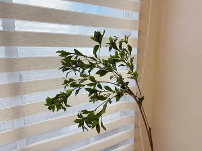 a plant sitting in front of a window at Shibuya\u73b0\u4ee3\u548c\u5f0f\u98ce\u683c-\u6e0b\u8c37\u5f92\u6b654min-\u65b0\u5bbf\u516d\u672c\u6728\u4e0a\u91ce\u76f4\u8fbe-New Open Max6P in Tokyo