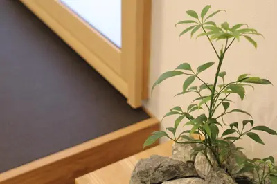 a plant sitting on top of a wooden table at Tokyo Villa Kameido in Tokyo