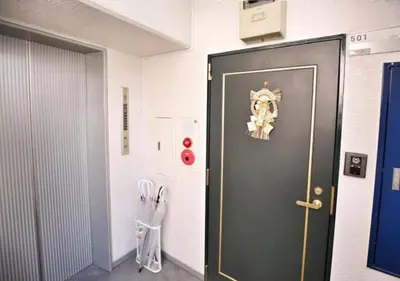 a gray door with a skull on it in a room at Alice 501 in Tokyo