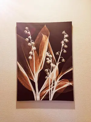 a picture of a painting of flowers on a wall at #201WZNET\u6885\u5c4b\u6577\u99c52\u5206\u6a2a\u6d5c\u7fbd\u7530\u7a7a\u6e2f\u90fd\u5fc3\u4fbf\u5229\u5546\u5e97\u88571k\u9759\u304b\u306a\u753a in Tokyo